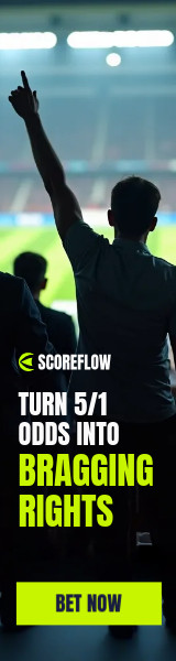 Bragging Rights Soccer Fans Scoreflow Betting Animated-160x600px-WideSkyscraper
