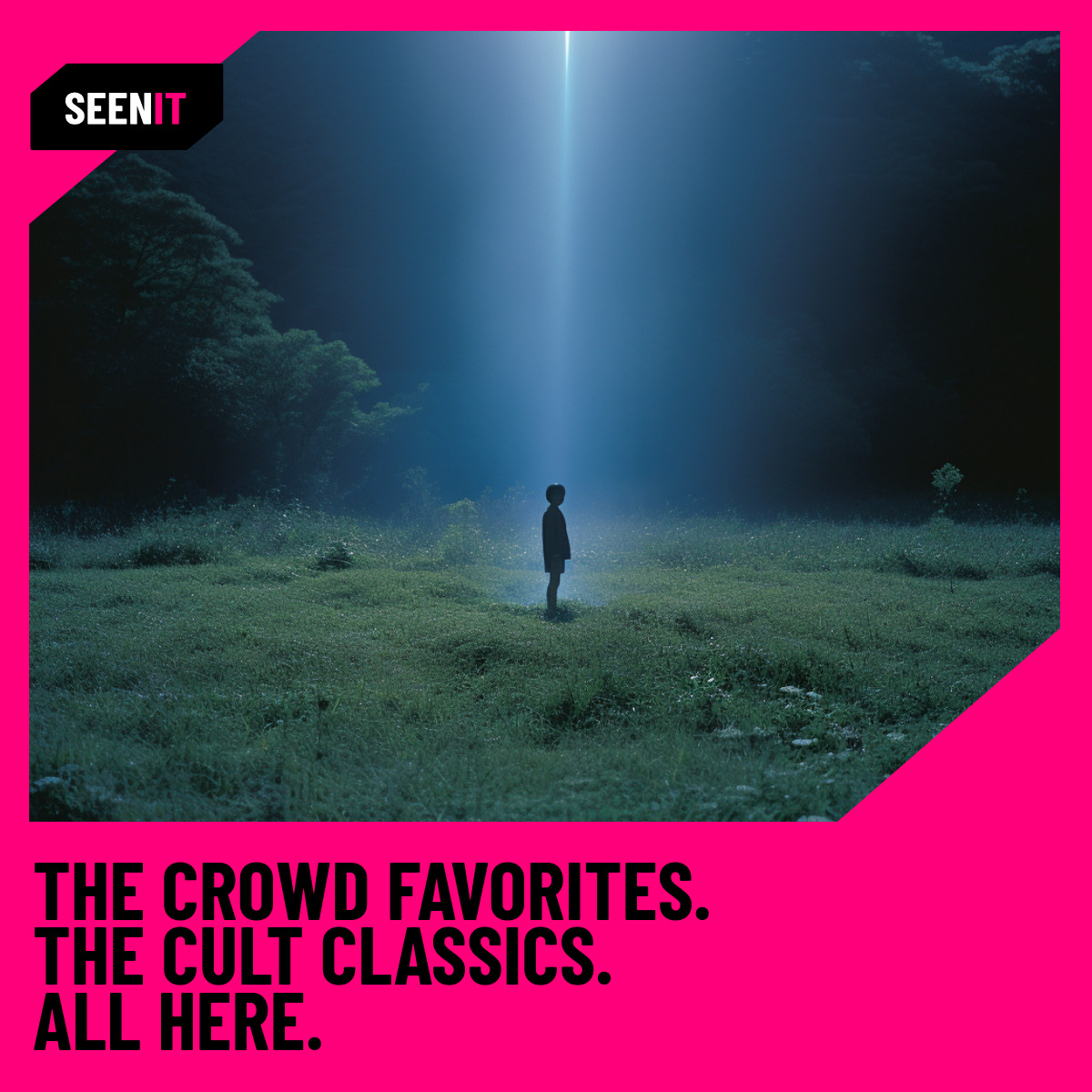 Crowd Favorites Seenit Movie Streaming Animated-336x280px-LargeRectangle-1200x1200px-FacebookSquareP