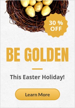 Golden Easter Egg with Promo